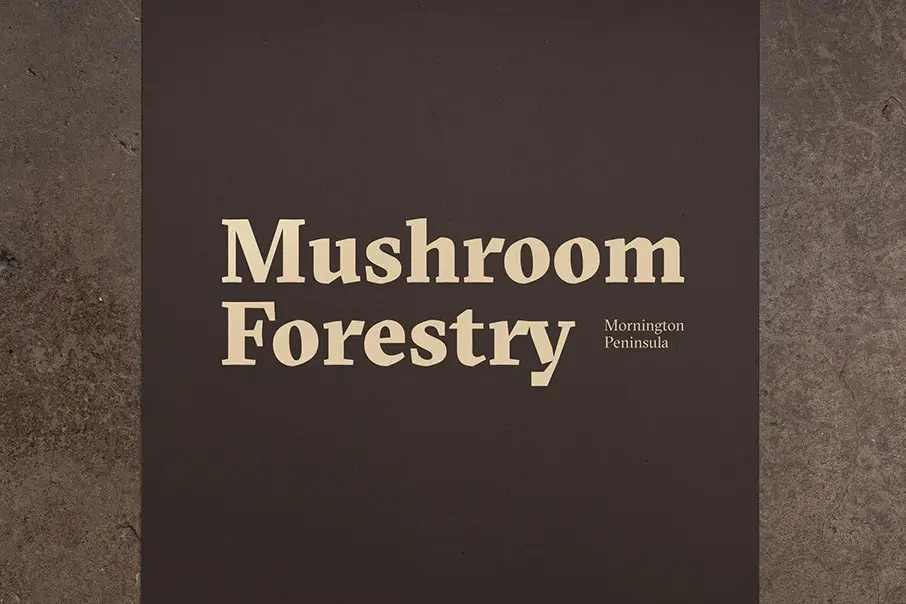 Mushroom Forestry